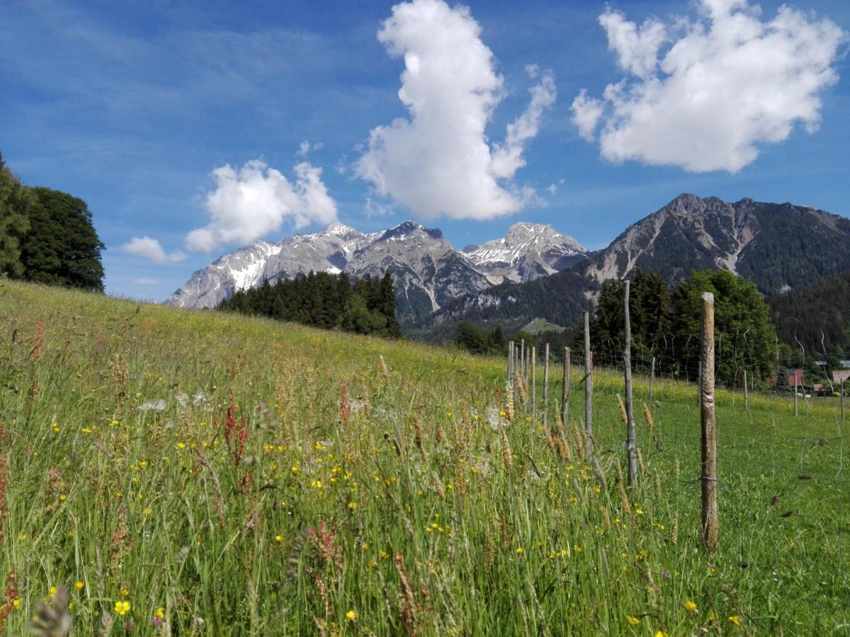 Haslehnerhof Villa Ramsau am Dachstein Eksteriør bilde