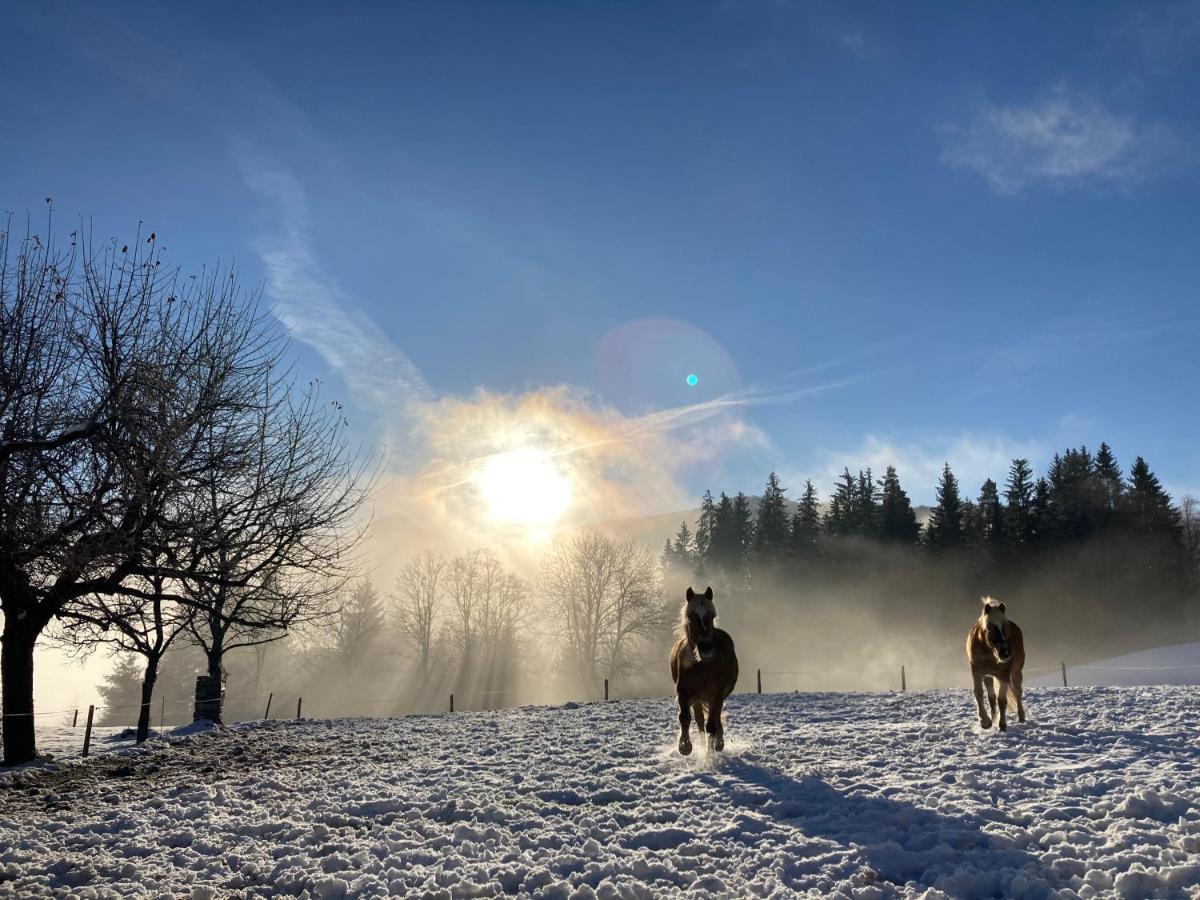 Haslehnerhof Villa Ramsau am Dachstein Eksteriør bilde
