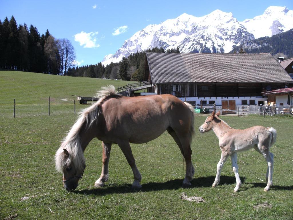 Haslehnerhof Villa Ramsau am Dachstein Eksteriør bilde